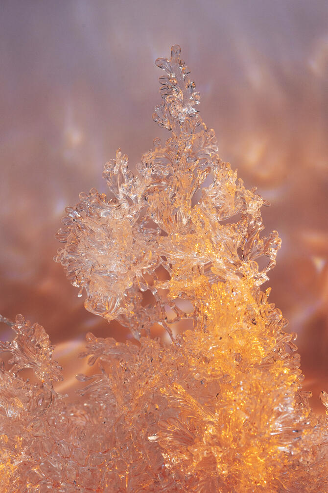 Ephemeral III